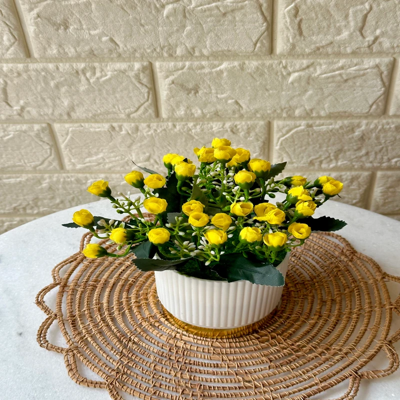 mini rose bunch in white tub